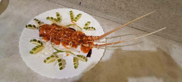 WhatsApp Image 2025-09-26 at 4.37